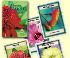 詮釋卡(69張) Insight Cards 詮釋卡(69張) Insight Cards