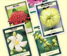 詮釋卡(69張) Insight Cards 詮釋卡(69張) Insight Cards