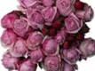 100% Rose Otto 5ml 100% Rose Otto 5ml