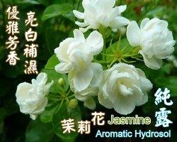 Jasmine Aromatic Hydrosol / 100ml