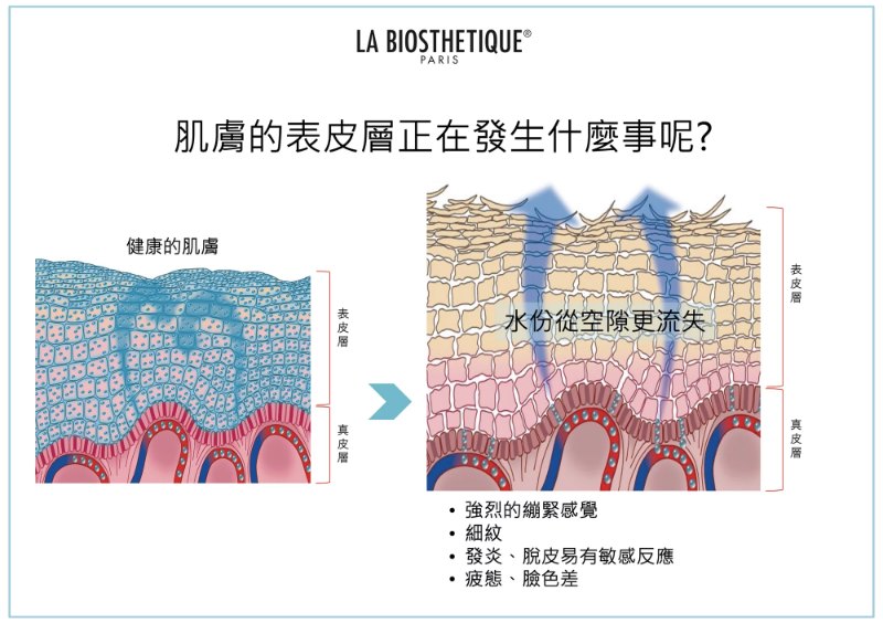 La Biosthetique 激活水凝膠囊精華 (10粒裝) La Capsule Hydratante (10caps)