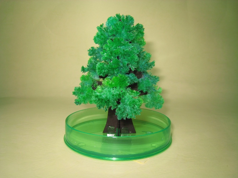Magic Growing Christmas Trees (Mini)