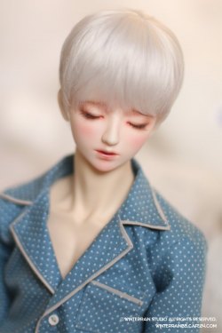 WINTERRAIN - Sleeping Jin - Head Only