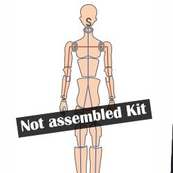 MIGIDOLL - Unassembled kit of Guy Body Ⅱ (65)
