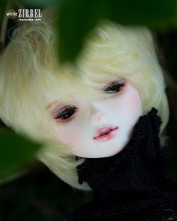 MONODEE - Crescent Zirbel - White skin(Limited) - Head Only