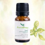 VC Aromatherapy 100% Pure Basil Essential Oil 10ml