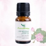 VC Aromatherapy 100% Pure Rose Geranium Essential Oil 10ml