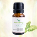 VC Aromatherapy 100% Pure Peppermint Essential Oil 10ml