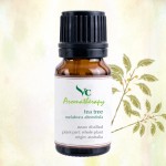 VC Aromatherapy 100%純正茶樹精油10ml