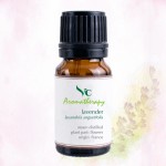 VC Aromatherapy 100% Pure Alpine French Lavender Essential Oil 10ml