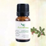 VC Aromatherapy 100% Pure Wintergreen Essential Oil 10ml