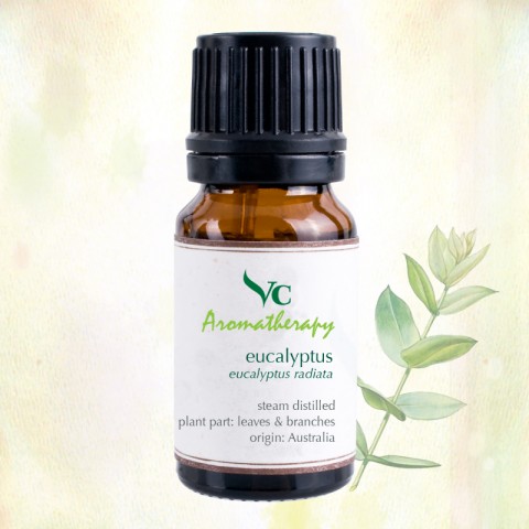 VC Aromatherapy 100%純正尤加利精油10ml