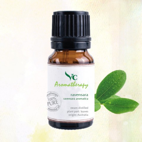 VC Aromatherapy 100%纯正雷文沙精油10ml