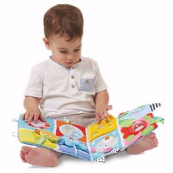 Taf Toys with music and light多功能學習玩具
