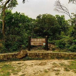 狗嶺涌