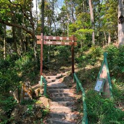 荃錦營地