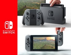 Nintendo Switch (Grey) Japan version 日本版