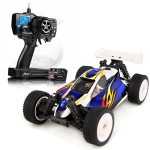 Iwaver Firelap 1:16 Brushless 2.4G RC Drift Car Buggy (LS-01G)
