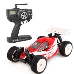 Iwaver Firelap 1:16 4WD Off Road RC Drift Car Buggy (LS-01)