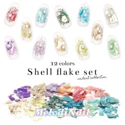 12 Colors Shell Flake Set