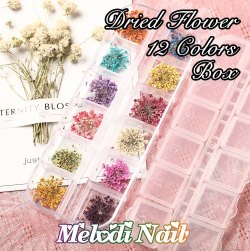 Dried Flower 12 Colors Box