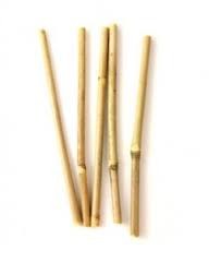 10045 - Bamboo Straw