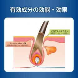 日本KAMINOMOTO 加美乃素 頭皮護理 藥用洗髮水 300mL