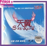 Friendship Sky-King Table tennis Pimples in Rubber