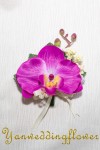 紫色蝴蝶蘭花襟花