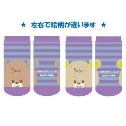 Paku  Pero 成人襪 - 紫間
