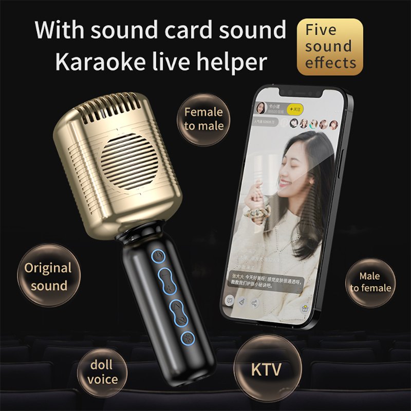New All-in-one Family Handheld Wireless KTV Karaoke Classic Microphone 卡拉OK麥克風