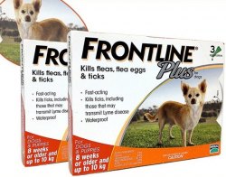 寵物用品 Frontline Plus for Dog (8 weeks or older or up to 10kg) 保證香港行貨