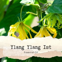 Ylang Ylang 1st 依蘭依蘭 1st 香薰精油10ml