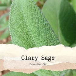 快樂鼠尾草 Clary Sage 香薰精油10ml