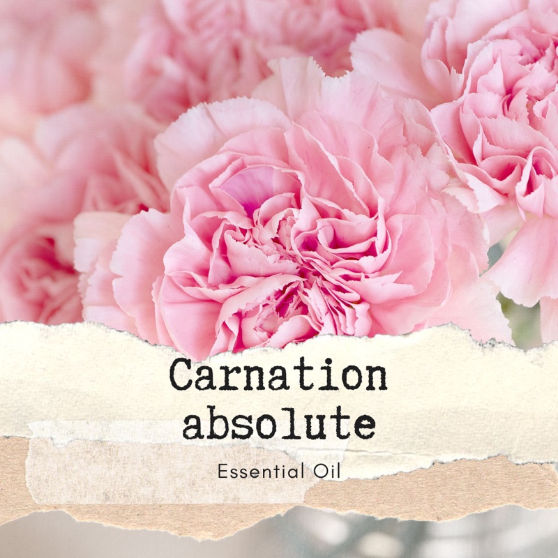 康乃馨 Carnation 香薰精油5ml