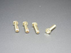 4mm  Gold Bullet Plug (4pcs)