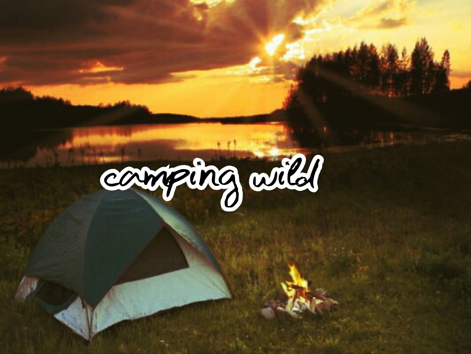 camping wild