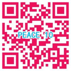 【『PEACE 10』慈善義助】
