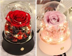 Dream Of You Glass Dome Lighting Blue Tooth Speaker Japan Presevered Flowers