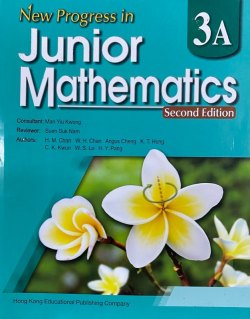 New Progress in Junior Mathematics 3A