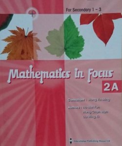 Mathematics in Focus 2A (Chapter Binding)