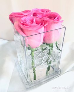 PINK SAPPHIRE - CRYSTAL BOX  ( 4 Fresh Roses )