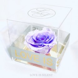 MY GODDESS - TIMELESS CRYSTAL CUBE  ( Japan Preserved Rose )