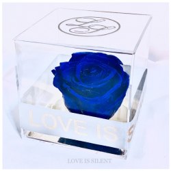STARRY NIGHT - TIMELESS CRYSTAL CUBE  ( Japan Preserved Rose )