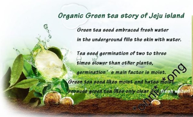 innisfree Green Tea Sleeping Pack 全新綠茶清爽保濕睡眠面膜 -