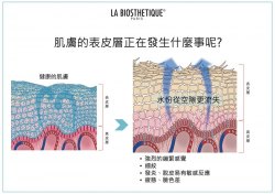 La Biosthetique 激活細胞透明質酸精華 Concentre Hyaluronique