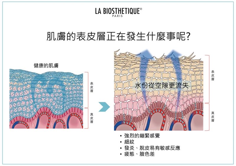 La Biosthetique 激活細胞透明質酸精華 Concentre Hyaluronique