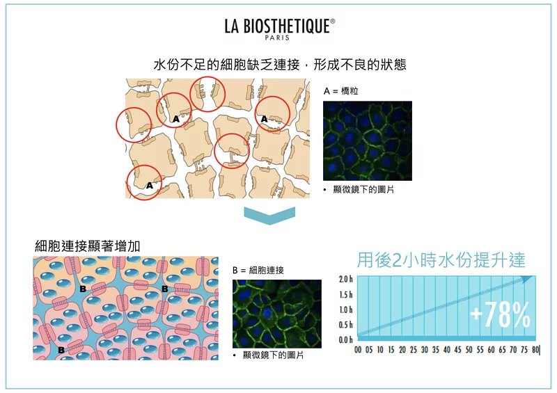 La Biosthetique 激活細胞透明質酸精華 Concentre Hyaluronique