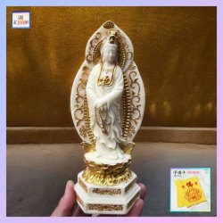 象牙果描金手持念珠南海觀音佛像【觀音背面是附印*心經*經文 *禮盒裝*】《附送*淨佛布* 一條》(型號：JS-BS-2)【*優惠價*直接出售，不設折扣優惠】不設郵寄, 可用順豐到付《購買滿 500元或以上 包順豐》