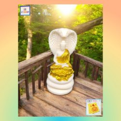 象牙果蛇護《大日如來》描金佛像《附送*淨佛布* 一條“送完即止”》(型號：JS-BS-8)【*優惠價*直接出售，不設折扣優惠】不設郵寄, 可用順豐到付《購買滿 500元或以上 包順豐》